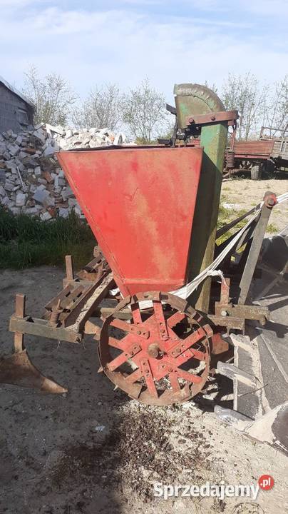 Sadzarka do ziemniaków mazowieckie Ciechanów