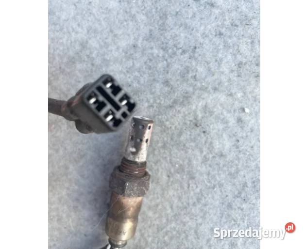 sonda lambda Triumph Sprint ST 1050 wielkopolskie sprzedam