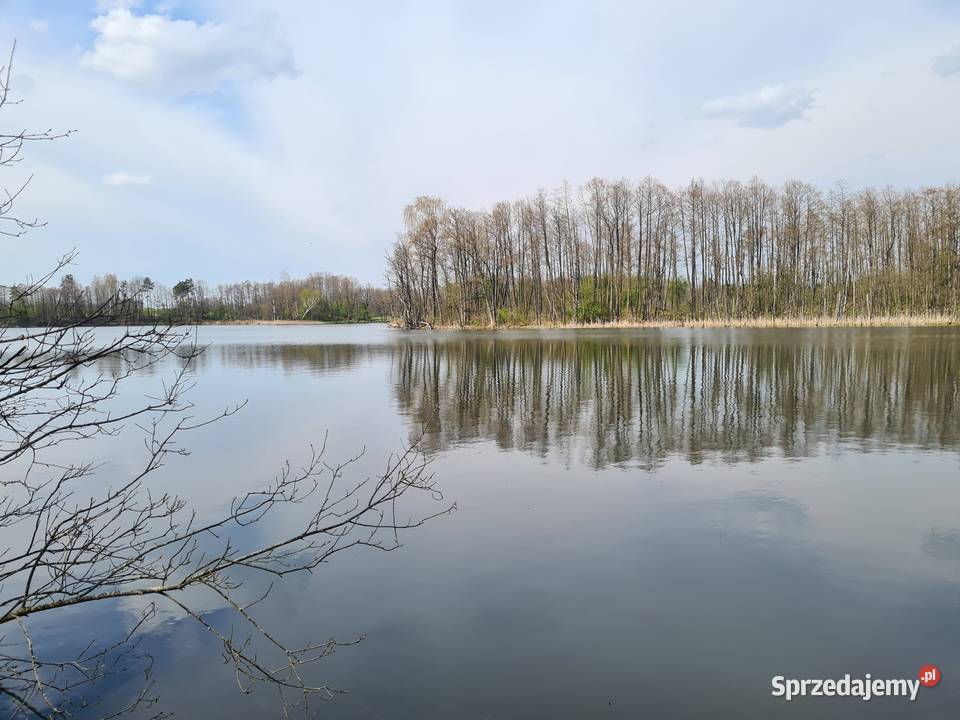 Działka budowlana z linią brzegową ładnego Sprzedaż Okrągłe sprzedam