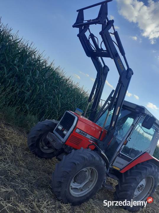 Massey Ferguson 3060 Stefanowo sprzedam