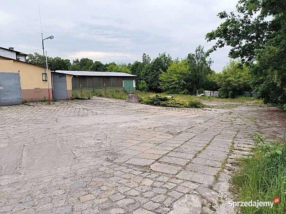 Hala do wynajęcia Rybnik