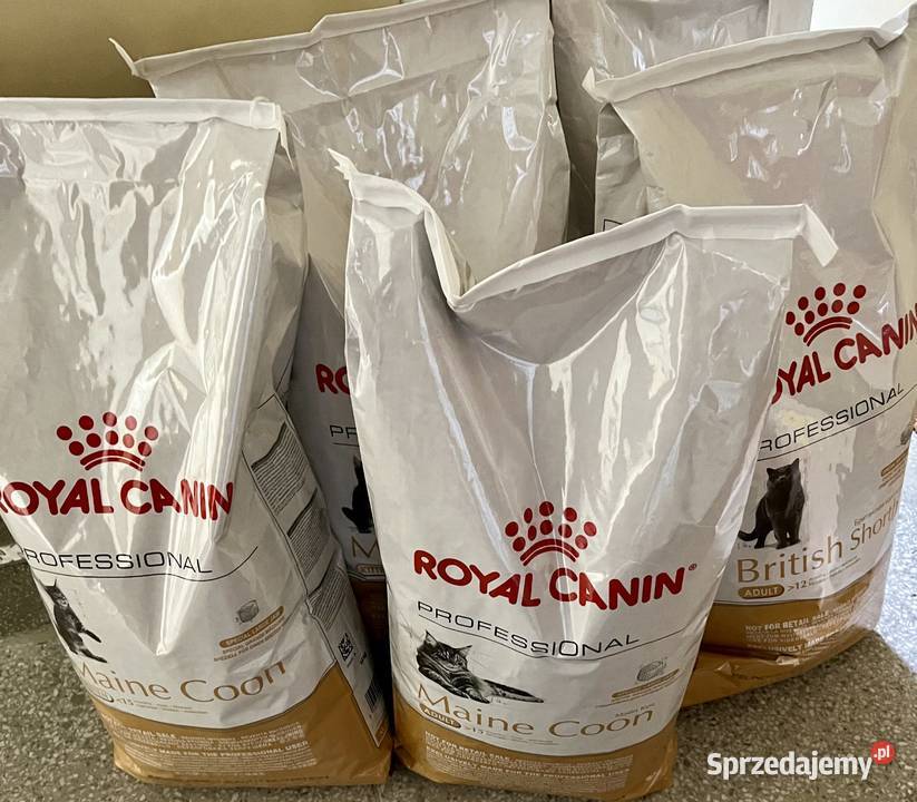 Każda RC Brit Maine Coon 15 Worek Kitten Adult Dla kotów mazowieckie Warszawa