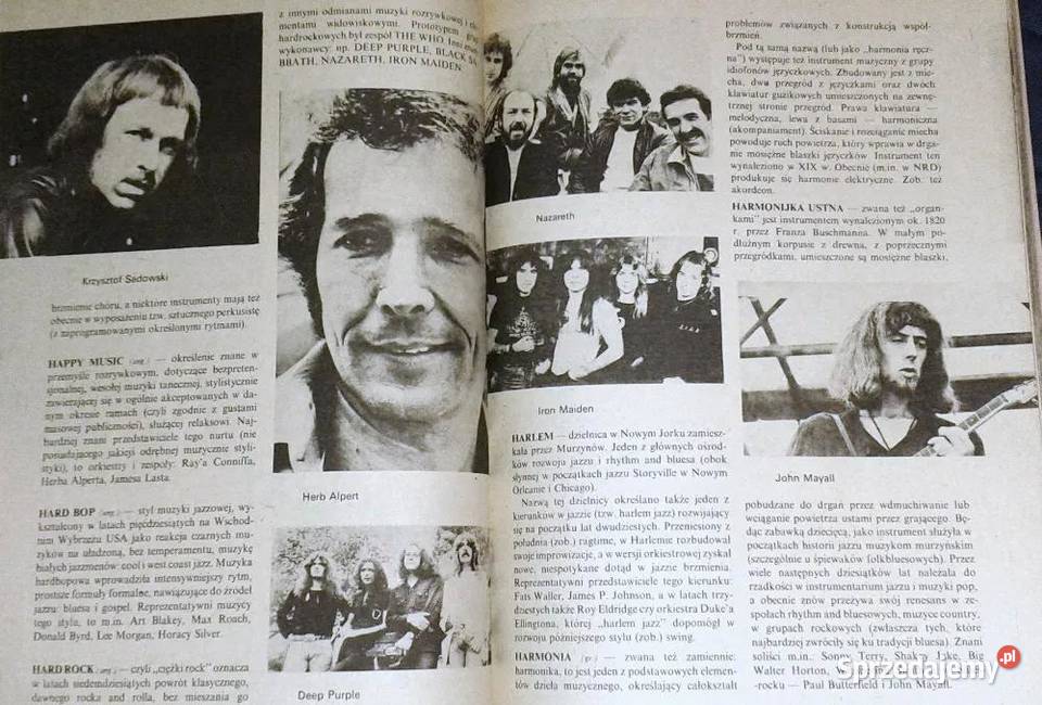 Mały słownik muzyki rozrywkowej Wacław Panek Chełm