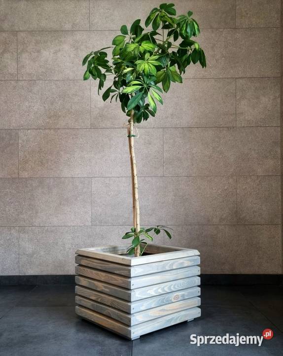 Donica drewniana 3D nowoczesna donica na taras Ogród Kalety