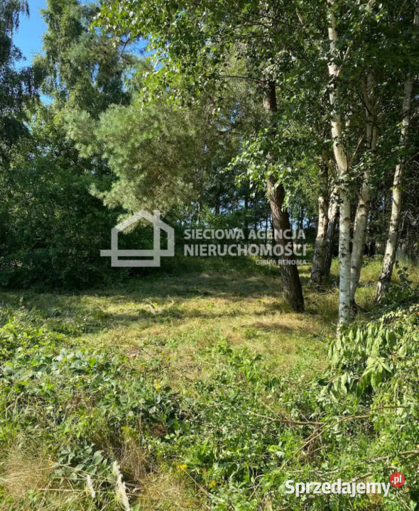 Grunt 883m2 Mieroszyno 883m2