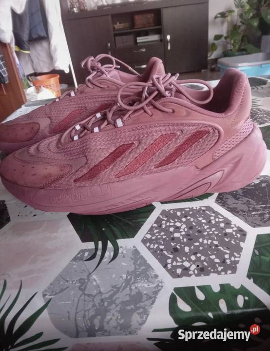 Buty Adidas Ozelia Bordowe
