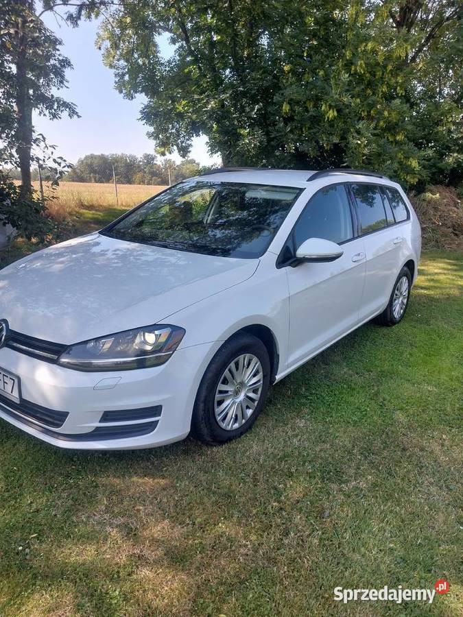 Volkswagen Golf VII Kombi 16 TDI BLUMOTION Zagrodno sprzedam