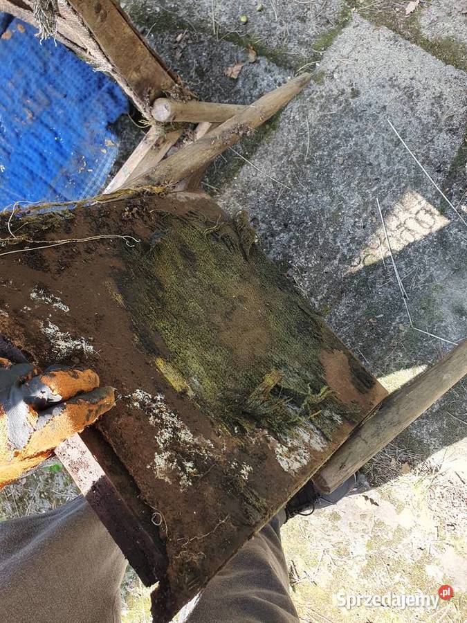 Fotele Celia typ 300227 Krzesła stare antyki Antyki, Sztuka, Kolekcje Warszawa sprzedam