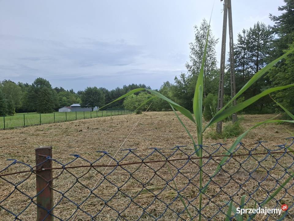 Działka rekreacyjna 09 ha ChrzanówBorowiec budowlana Chrzanów