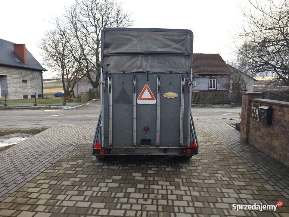 Przyczepa BOCKMANN Możliwy Transport Na 2 KONIE Boeckman świętokrzyskie sprzedam