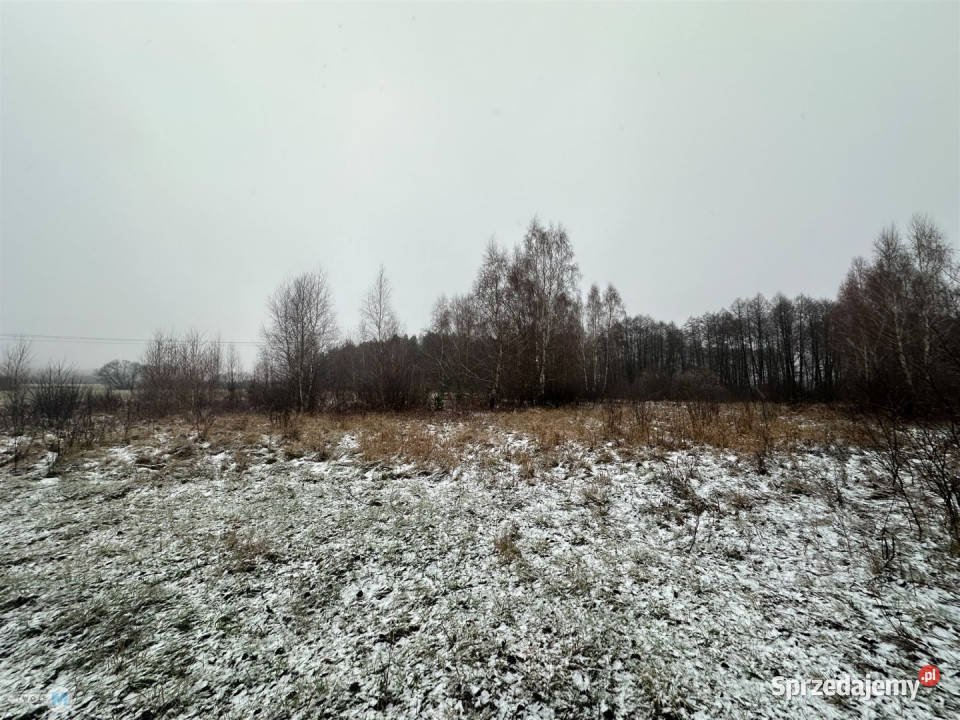 sprzedaży działki 43100m2 Śladków Duży świętokrzyskie