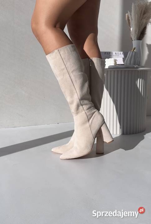 Kozaki na słupku Piotrków Trybunalski