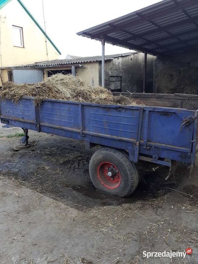 Rozrzutnik Obornika 1 osiowy założony szybki Wijewo sprzedam