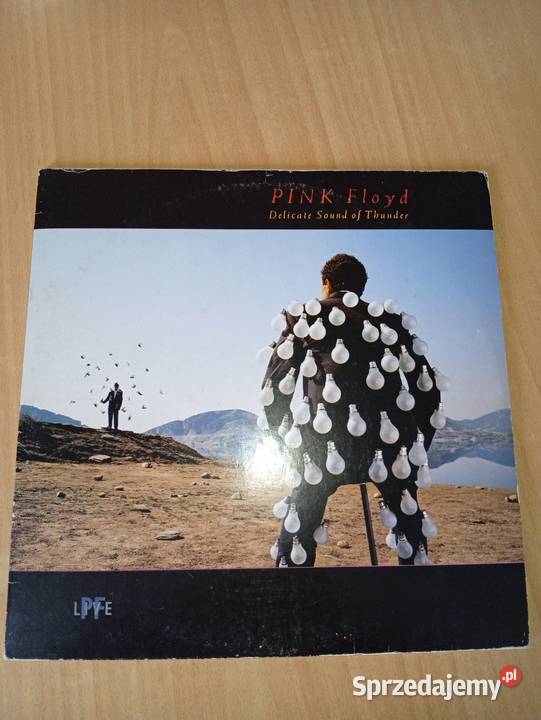 Pink Floyd Delicate Sound Of Thunder Hungary 2 płyty Rumia