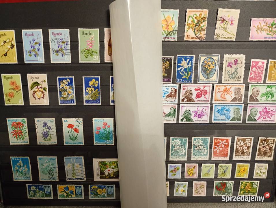 Duży album klaser ze starymi znaczkami Łowicz