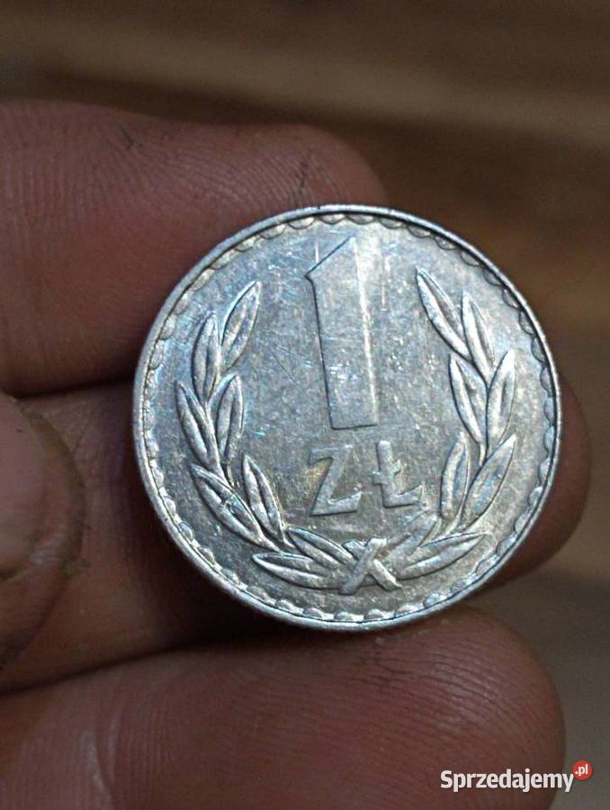 Sprzedam 1 zloty 1980 Chełm sprzedam