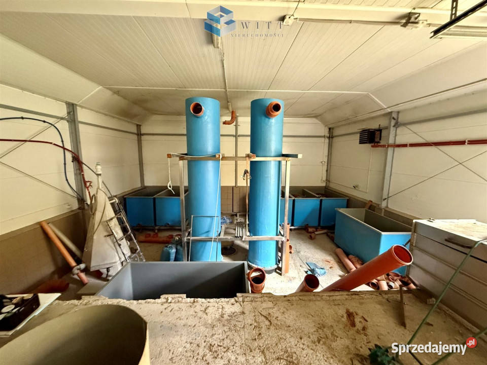 Lokal 342 metry Łukta