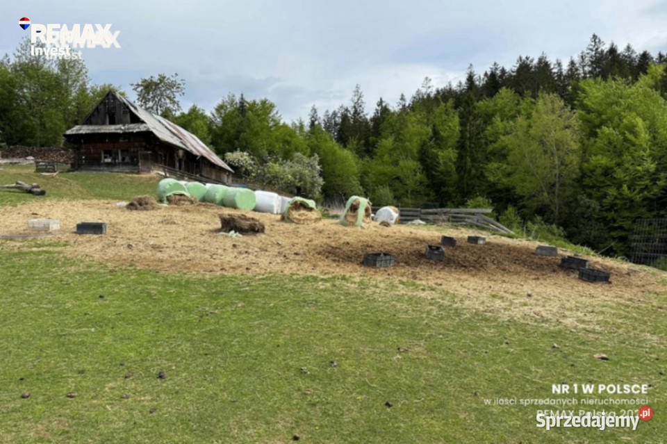 Istebna 66 arów dom staw widok sprzedam