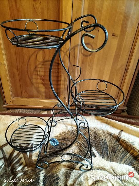 Kwietnik wielkopolskie Słonawy