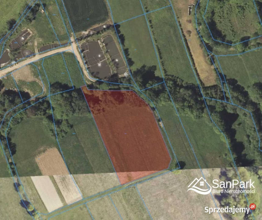 Działka Bezmiechowa Dolna 5000m2 sprzedam