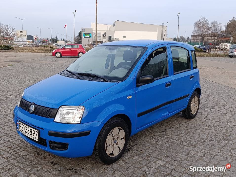 Panda super stan Panda