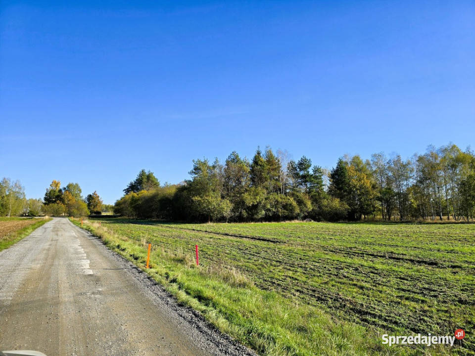 Działki budowlane Serock 15 jeziora Firlej sprzedam