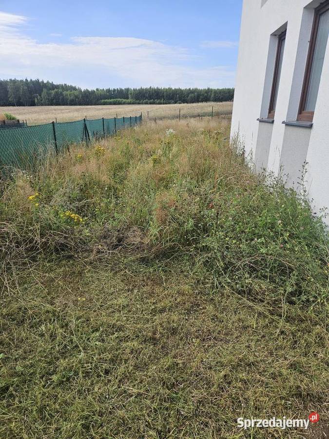 Glebogryzarka separacyjna