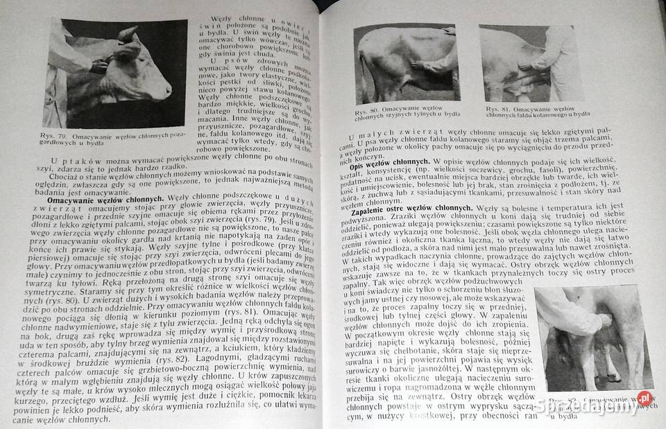 Weterynaryjna diagnostyka kliniczna Janos Mocsy Pozostałe Chełm