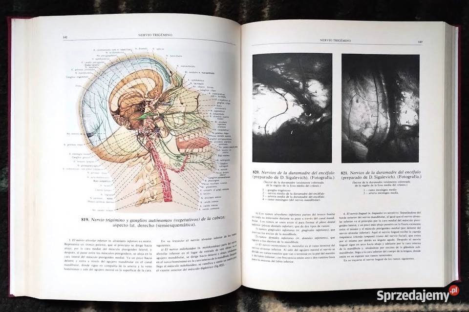 Atlas de Anatomia Humana Tomo III R D Sinelnikov łódzkie Bełchatów