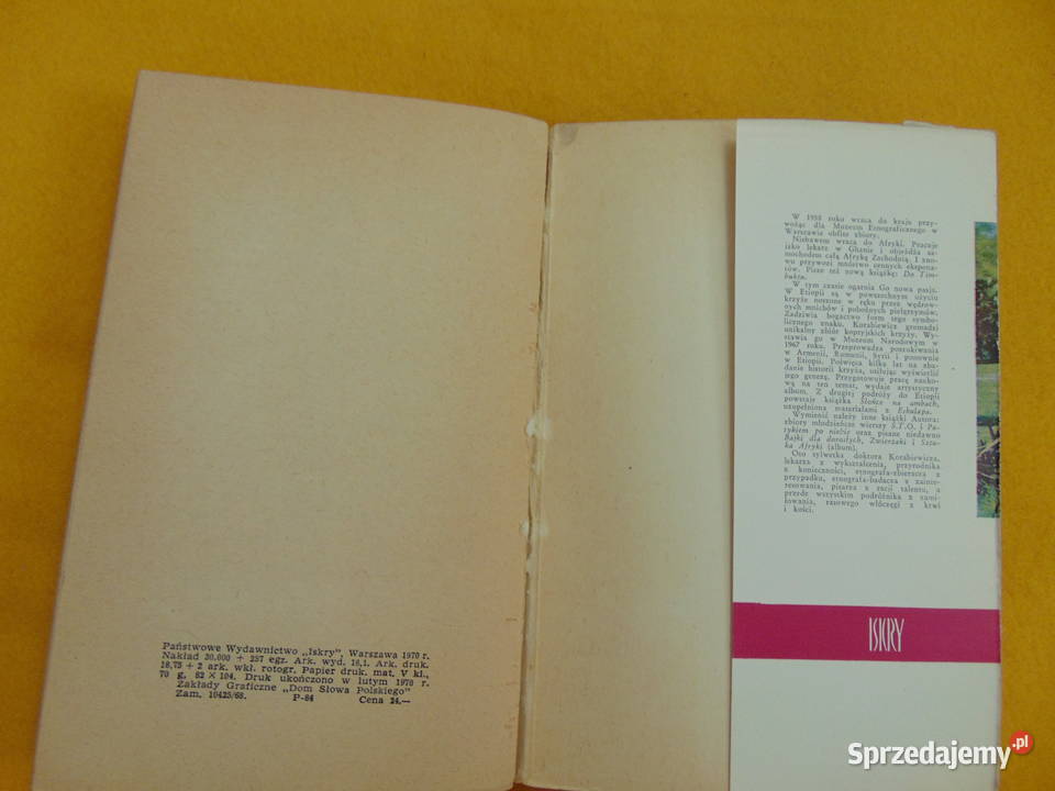 Słońce na ambach Wacław Korabiewicz