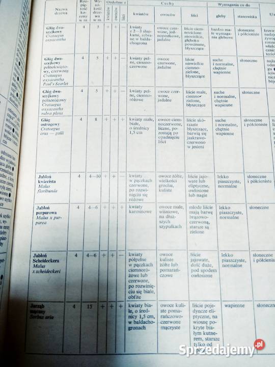 Zagospodarowanie działek i ogrodów przydomowych Warszawa