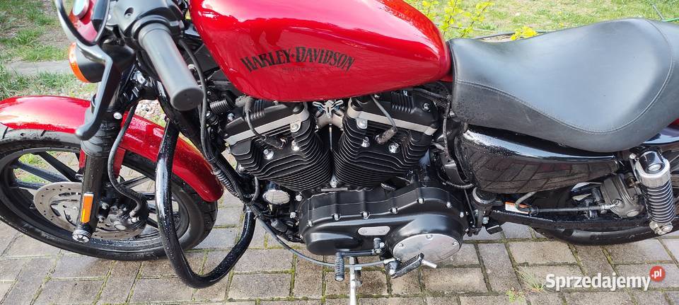 Iron 883 polski salon niski przebieg zadbany mazowieckie Stanisławów Pierwszy