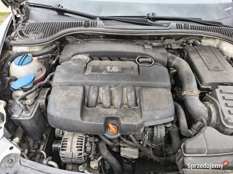 Skoda Octavia 2005 poj 16 MPI autko prywatne opolskie Lewin Brzeski