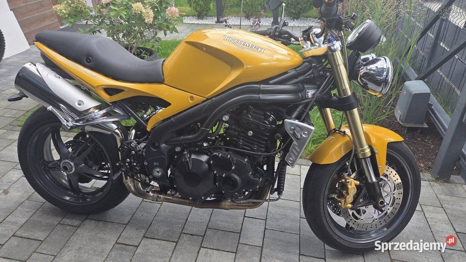 Triumph speed triple 1050 130 108Nm metalic Pęcice
