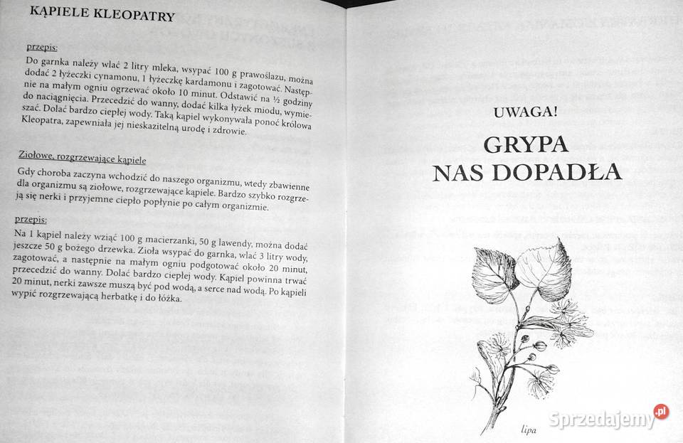 Na odsiecz grypie Stefania Korżawska Rok wydania 2009 Chełm