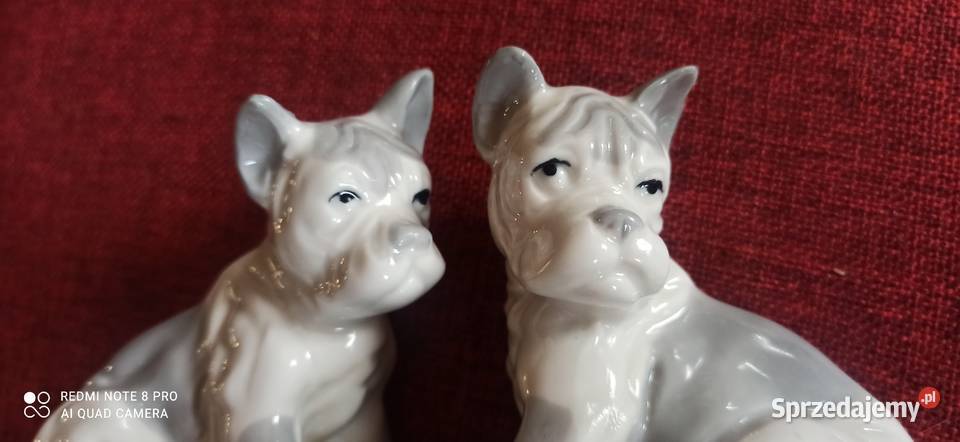Figurka porcelanowa 2 Pieski
Śliczna bez Gdańsk