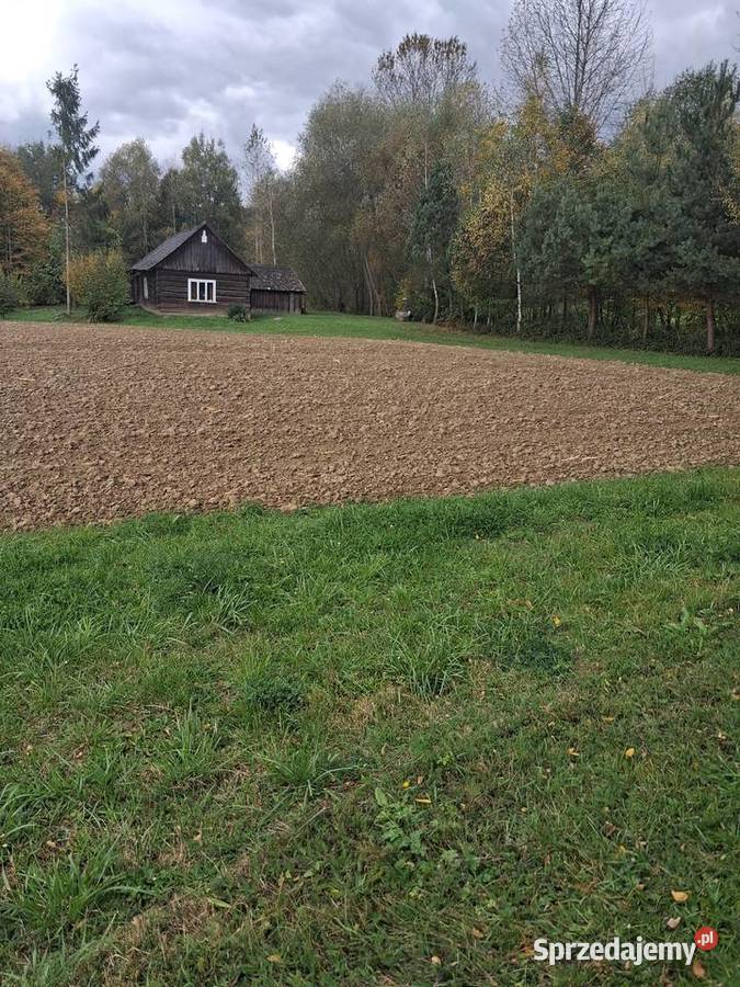 Sprzedam dom Łużna sprzedam