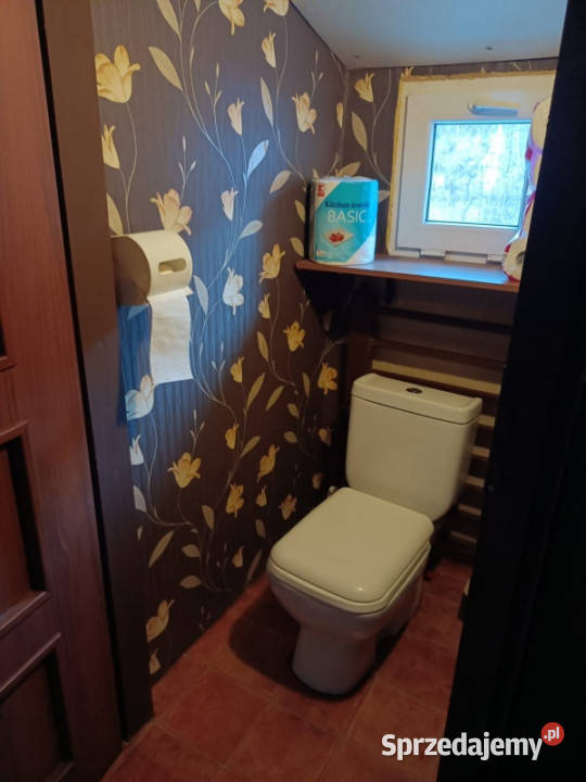 DOM NA WSI SAD ZIELEŃ PRZESTRZEŃ Morze