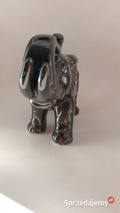 Duży czarny słoń z trąbą do góry i krocząca