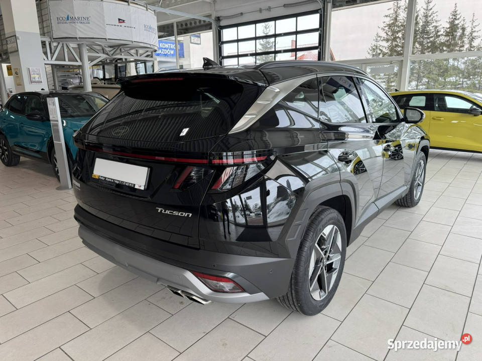 Hyundai Tucson Executive 16 TGDI 7DCT 150 warmińsko-mazurskie Giżycko