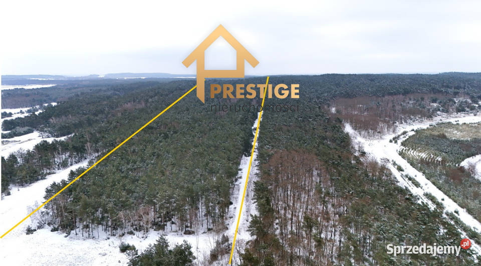 Wyjątkowa enklawa 494ha działka budowlana z Skarbki
