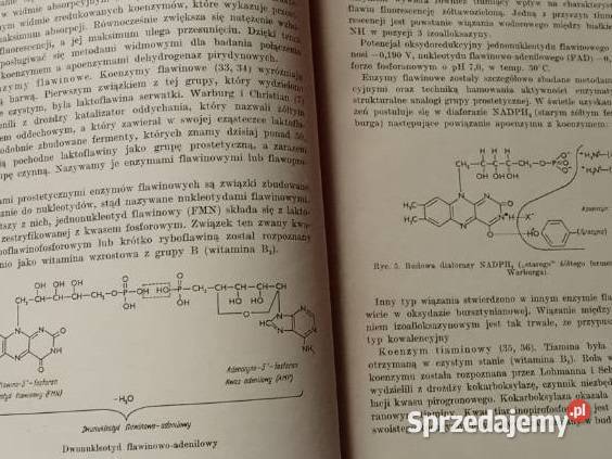 Enzymologia Kliniczna ESzczeklik medycyna Łódź