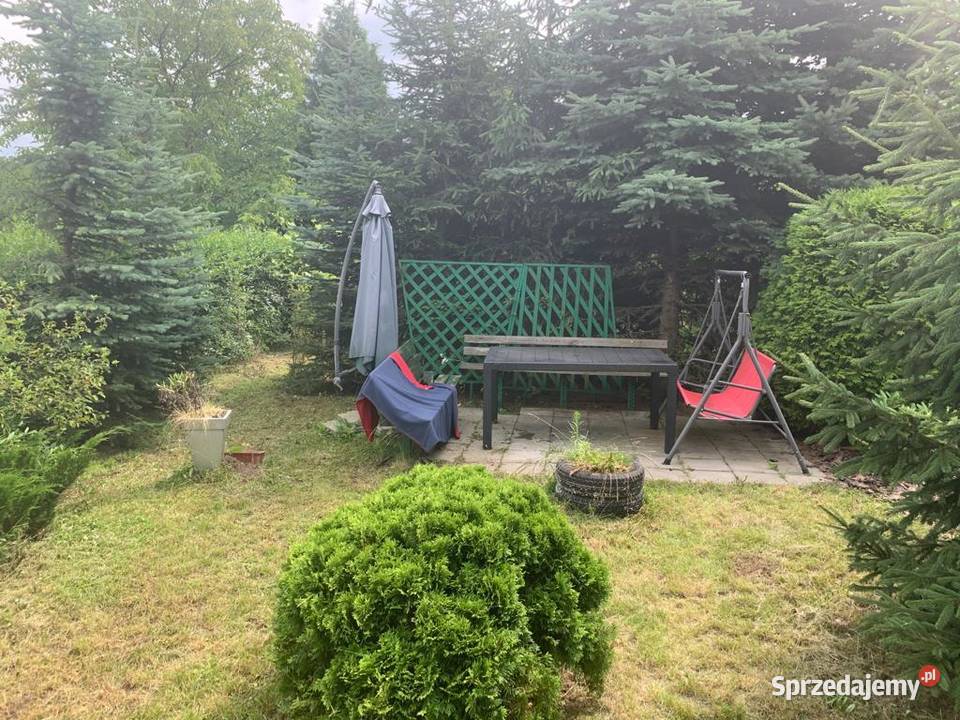 Ogródek działkowy ROD Miejski w Czeladzi Czeladź