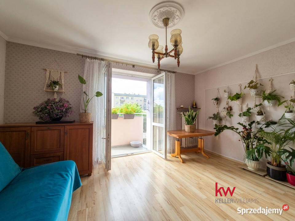 sprzedaży mieszkania 332m2 1pokojowe Poznań sprzedam
