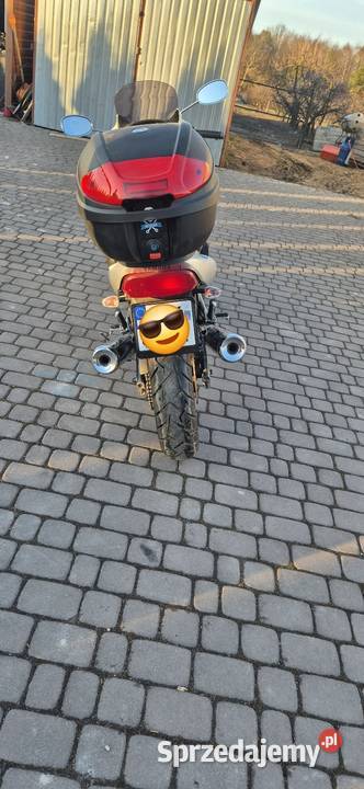 Yamaha xj600S 2003r nieuszkodzony Chojnatka