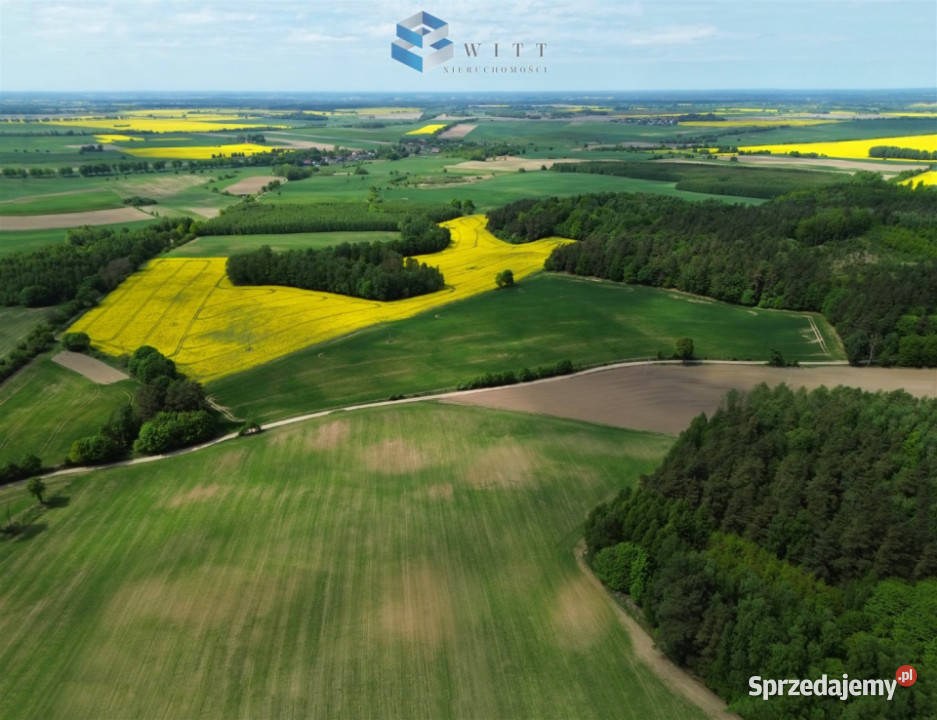 Grunt do sprzedania Rudno 53200m2 rolna sprzedam