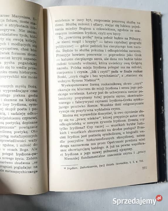 Alina WitkowskaWielcy romantycy polscy Sylwetki wielkopolskie Koźminek