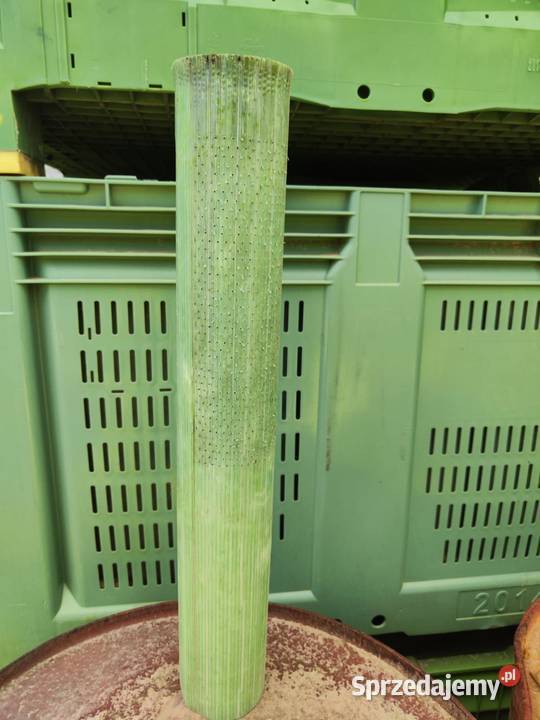 Osłonka owijka na drzewka Dwikozy