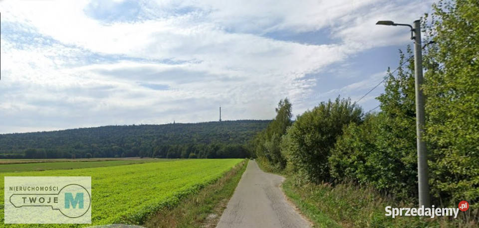 Sprzedaż gruntu Nowa Słupia 12800m świętokrzyskie