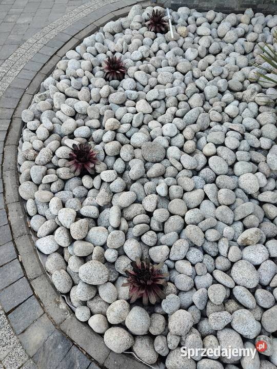Kamień otaczak Pajęczno